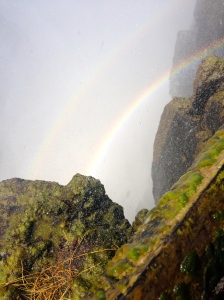 The bridge we used to walk along the falls was slippery from algae growth.  The mist from the falls was so thick it was difficult to see at times, but the water droplets caused rainbows to be visible from all sides.